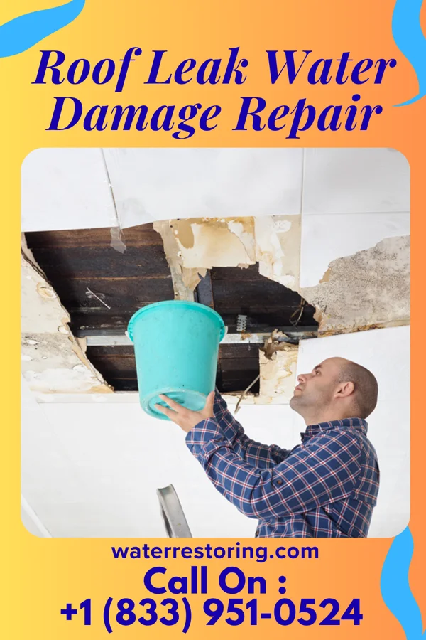 Roof Leak Water Damage Repair in Vining, KS