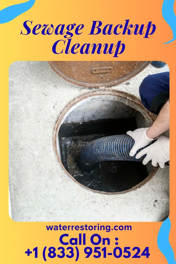 Sewage Backup Cleanup in Vining, KS
